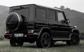 Mercedes-Benz G-Class by Lorinser (2015) (#113643)