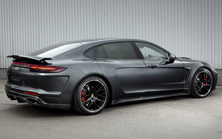 Porsche Panamera GTR Edition by TopCar (2019) (#114491)