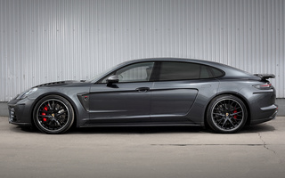 Porsche Panamera GTR Edition by TopCar (2019) (#114492)