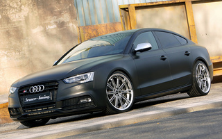 Audi S5 Sportback by Senner Tuning (2014) (#114937)