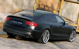 Audi S5 Sportback by Senner Tuning (2014) (#114938)