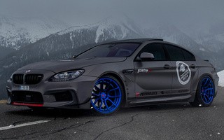 BMW M6 Gran Coupe by Fostla & PP-Performance (2016) (#115040)