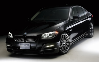 BMW 5 Series Black Bison by WALD (2011) (#115276)