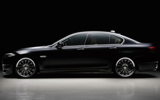 BMW 5 Series Black Bison by WALD (2011) (#115277)