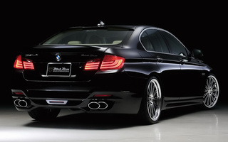 BMW 5 Series Black Bison by WALD (2011) (#115278)