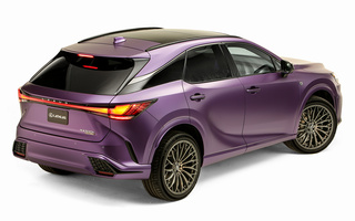 Lexus RX Hybrid F Sport Performance Show Car (2022) (#116949)