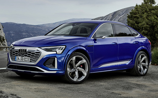 Audi SQ8 Sportback E-Tron (2022) (#117025)