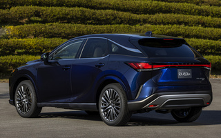 Lexus RX Plug-In Hybrid (2022) JP (#117256)