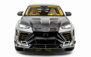 Mansory Venatus Evo S (2023) (#118431)