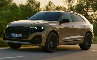 Audi Q8 S line (2023) (#119828)