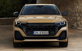 Audi Q8 S line (2023) (#119831)