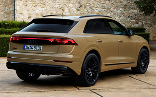 Audi Q8 S line (2023) (#119833)