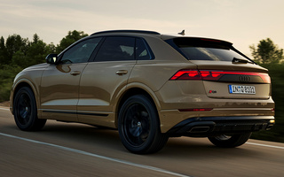 Audi Q8 S line (2023) (#119834)