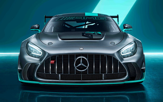 Mercedes-AMG GT2 Pro (2023) (#120617)