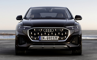 Audi Q8 Plug-In Hybrid (2024) (#122180)