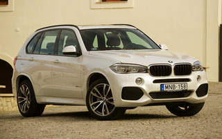 BMW X5 M Sport (2013) (#14696)