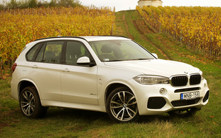 BMW X5 M Sport (2013) (#14699)