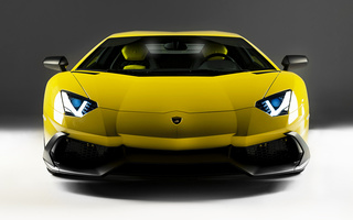 Lamborghini Aventador LP 720-4 50° Anniversario (2013) (#15026)