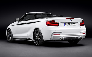 BMW 2 Series Convertible with M Performance Parts (2015) (#15943)