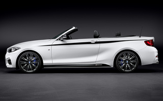 BMW 2 Series Convertible with M Performance Parts (2015) (#15944)