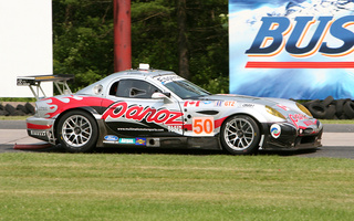 Panoz Esperante GTLM GT2 (2004) (#165)