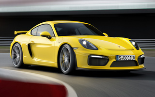 Porsche Cayman GT4 (2015) (#18198)