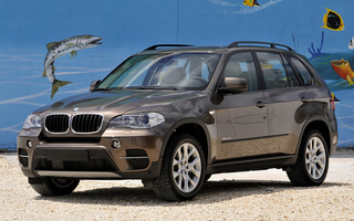 BMW X5 (2010) (#22983)