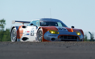 Spyker C8 Spyder GT2R (2005) (#243)