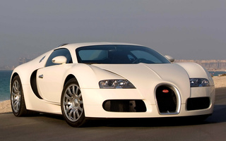 Bugatti Veyron (2005) (#256)