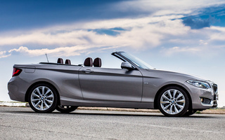 BMW 2 Series Convertible (2015) ZA (#25717)