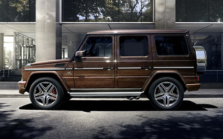 Mercedes-AMG G 63 (2015) (#26120)