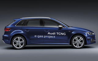 Audi A3 Sportback TCNG S line (2012) (#27330)