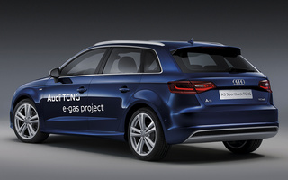 Audi A3 Sportback TCNG S line (2012) (#27331)