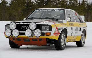 Audi Quattro Sport WRC (1985) (#29648)