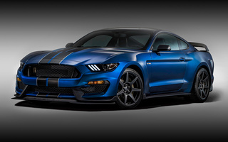 Shelby GT350R Mustang (2016) (#30180)