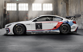 BMW M6 GT3 (2015) (#33019)