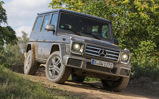 Mercedes-Benz G-Class (2015) (#33064)