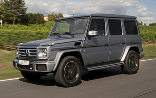 Mercedes-Benz G-Class (2015) (#33065)