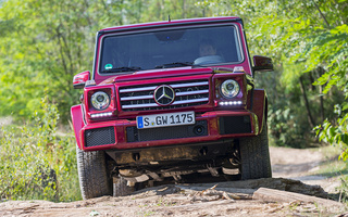 Mercedes-Benz G-Class (2015) (#33068)