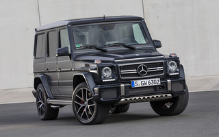 Mercedes-AMG G 63 Edition 463 (2015) (#33069)