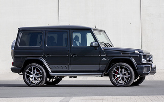 Mercedes-AMG G 63 Edition 463 (2015) (#33070)