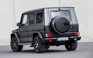 Mercedes-AMG G 63 Edition 463 (2015) (#33072)