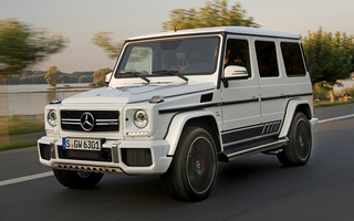 Mercedes-AMG G 63 Edition 463 (2015) (#33074)