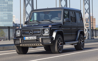 Mercedes-AMG G 63 Edition 463 (2015) (#33075)