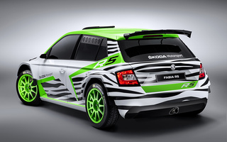 Skoda Fabia R5 Concept (2014) (#33422)