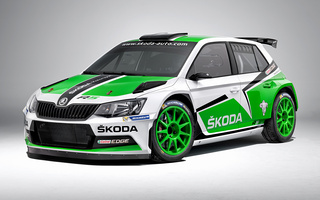 Skoda Fabia R5 (2015) (#33435)