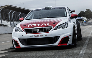 Peugeot 308 Racing Cup (2016) (#33503)