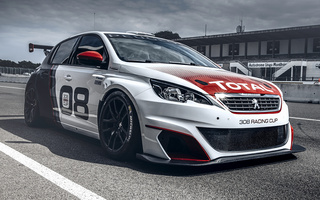 Peugeot 308 Racing Cup (2016) (#33505)