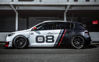 Peugeot 308 Racing Cup (2016) (#33506)