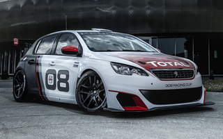 Peugeot 308 Racing Cup (2016) (#33508)